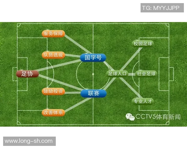 揭开足球黑厂的神秘面纱探讨其对足球产业的深远影响与未来发展方向