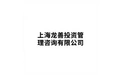 上海龙善投资管理咨询有限公司 标志