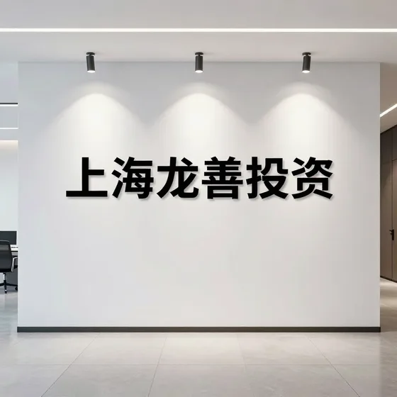 上海龙善投资
