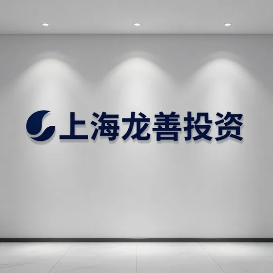 上海龙善投资